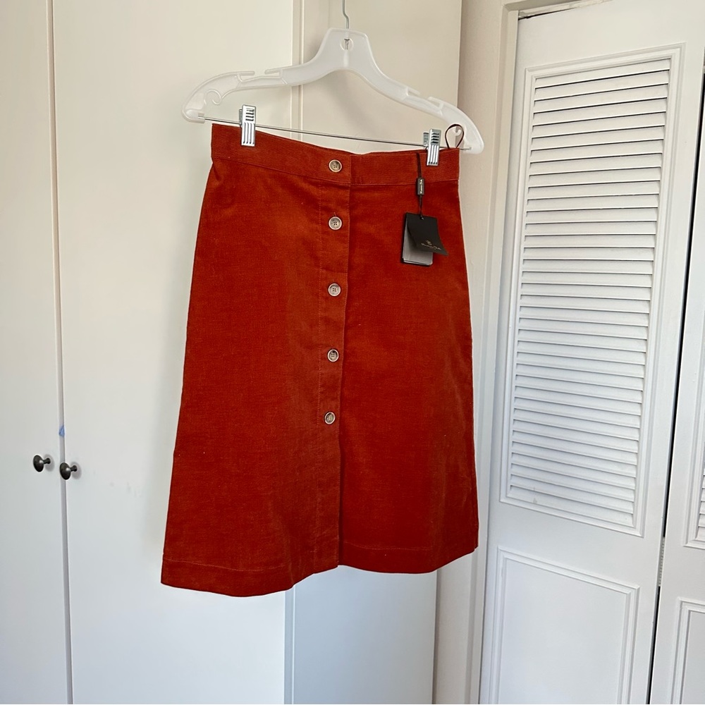 NWT Massimo Dutti Skirt